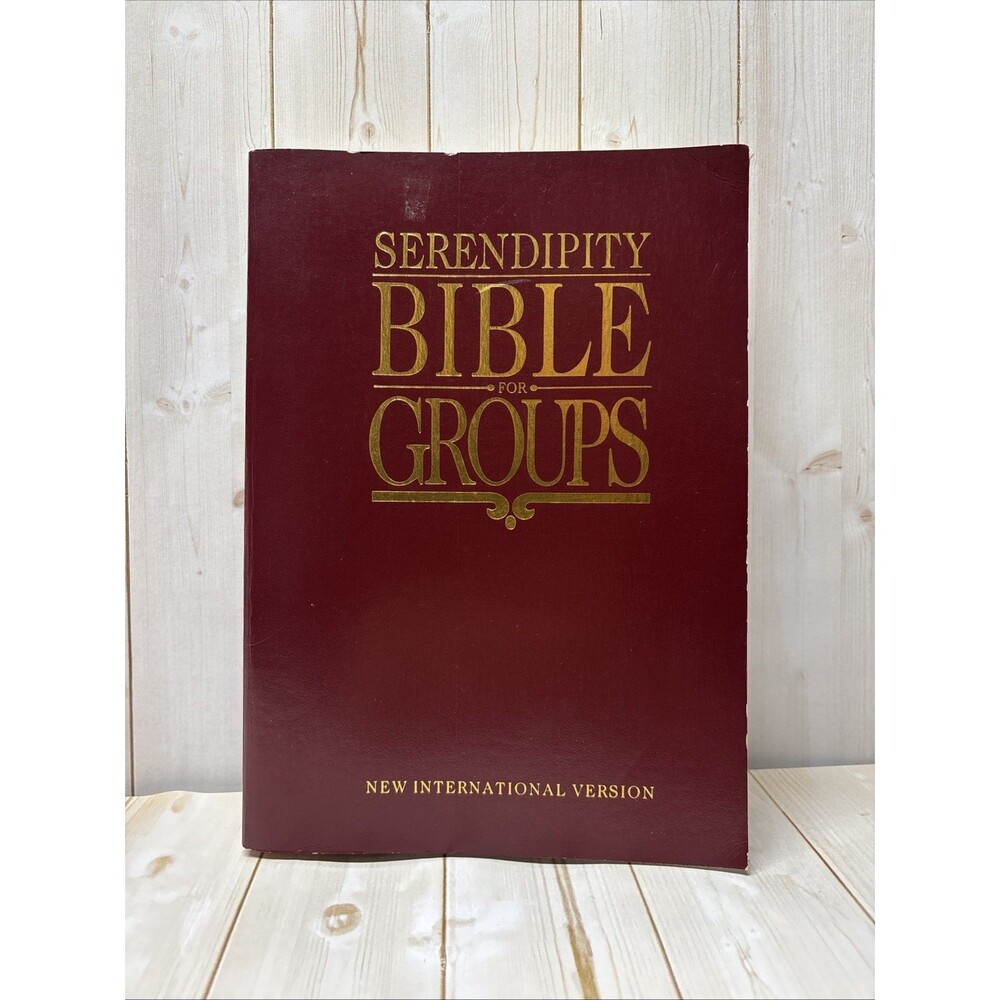 Holy Bible New International Version Maroon Serendipity Groups NIV 1989 READ DES